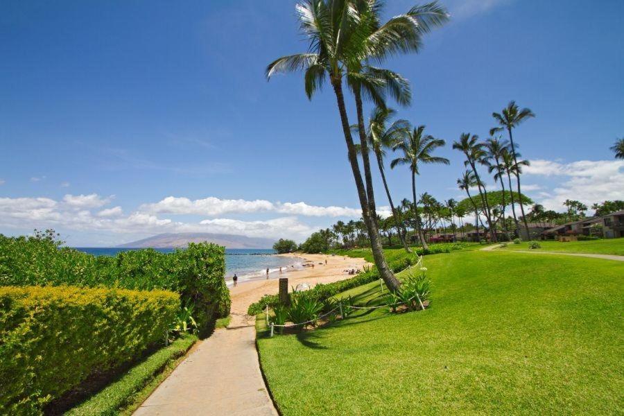 Wailea Elua, #2304 Condo 外观 照片